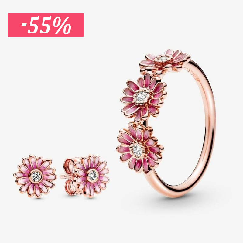 Conjunto de margaritas rosas